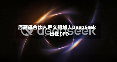 原高瓴合伙人严文韬加入DeepSeek，出任CFO-第2张图片