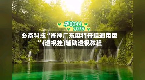 必备科技“雀神广东麻将开挂通用版”(透视挂)辅助透视教程-第2张图片