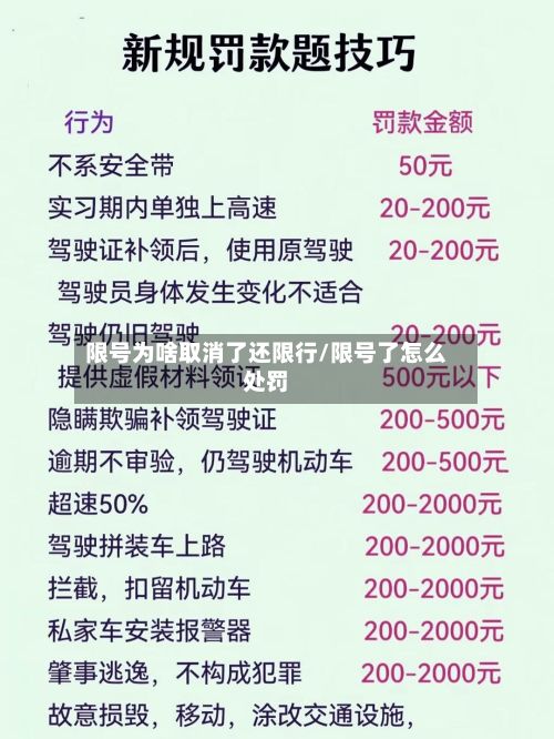 限号为啥取消了还限行/限号了怎么处罚-第3张图片
