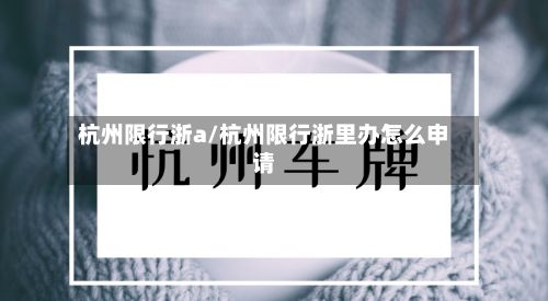 杭州限行浙a/杭州限行浙里办怎么申请-第3张图片