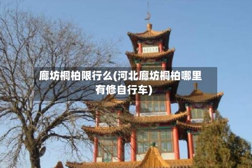 廊坊桐柏限行么(河北廊坊桐柏哪里有修自行车)