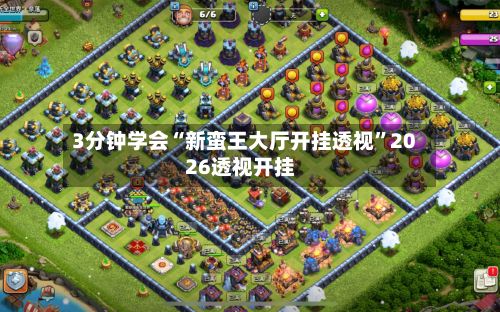 3分钟学会“新蛮王大厅开挂透视”2026透视开挂-第2张图片