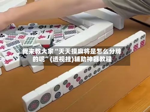 我来教大家“天天摸麻将是怎么分牌的呢”(透视挂)辅助神器教程-第3张图片