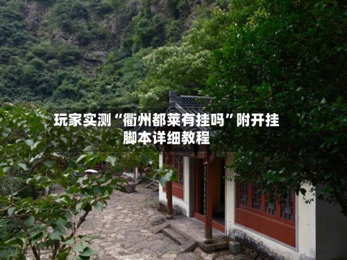 玩家实测“衢州都莱有挂吗”附开挂脚本详细教程-第2张图片
