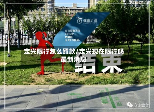 定兴限行怎么罚款/定兴现在限行吗最新消息-第2张图片