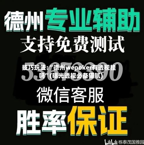 技巧玩法:“德州wepoker有透视挂吗”(曝光透视必备猫腻)