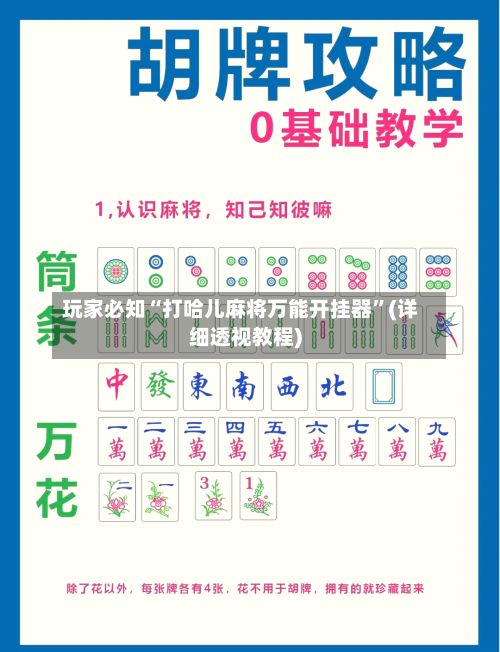 玩家必知“打哈儿麻将万能开挂器”(详细透视教程)-第2张图片