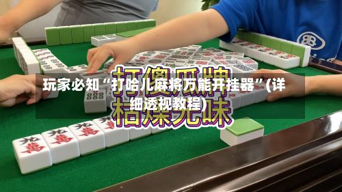 玩家必知“打哈儿麻将万能开挂器”(详细透视教程)