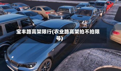 宝丰路高架限行(农业路高架拍不拍限号)-第3张图片