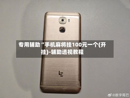 专用辅助“手机麻将挂100元一个(开挂)-辅助透视教程-第3张图片