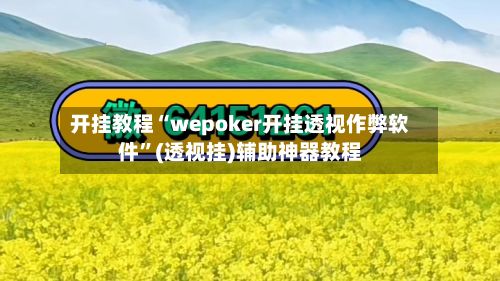 开挂教程“wepoker开挂透视作弊软件”(透视挂)辅助神器教程-第2张图片