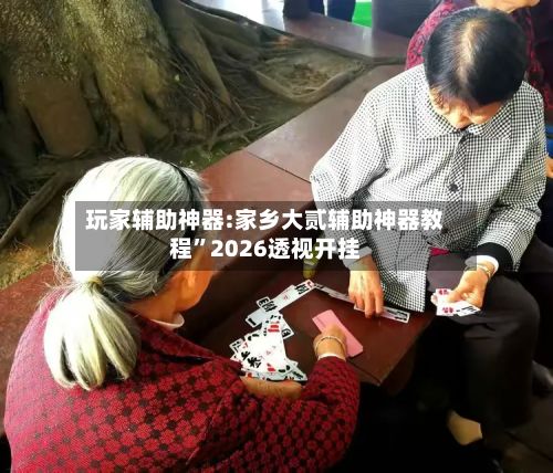 玩家辅助神器:家乡大贰辅助神器教程	”2026透视开挂-第2张图片