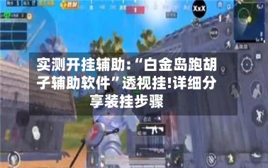 实测开挂辅助:“白金岛跑胡子辅助软件”透视挂!详细分享装挂步骤-第2张图片