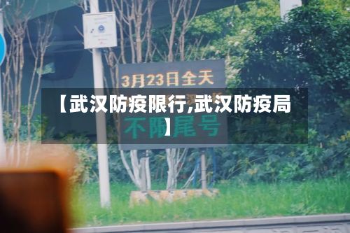 【武汉防疫限行,武汉防疫局】-第3张图片