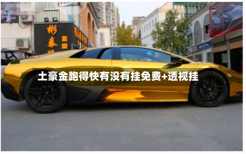 土豪金跑得快有没有挂免费+透视挂-第2张图片