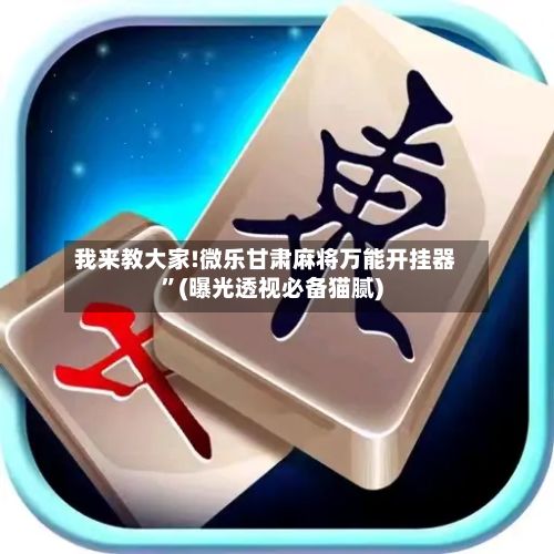 我来教大家!微乐甘肃麻将万能开挂器”(曝光透视必备猫腻)-第2张图片