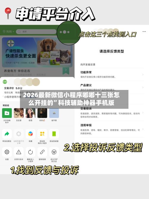 2026最新微信小程序嘟嘟十三张怎么开挂的”科技辅助神器手机版-第2张图片