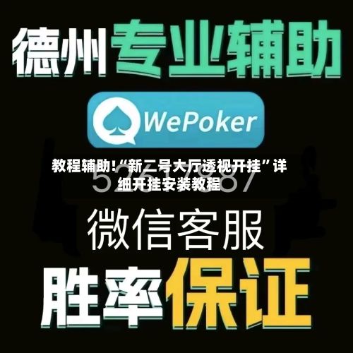 教程辅助!“新二号大厅透视开挂”详细开挂安装教程