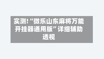 实测!“微乐山东麻将万能开挂器通用版	”详细辅助透视-第2张图片