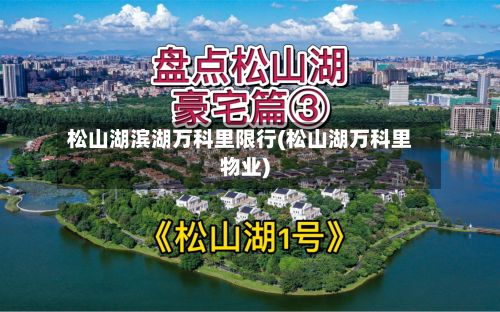 松山湖滨湖万科里限行(松山湖万科里物业)