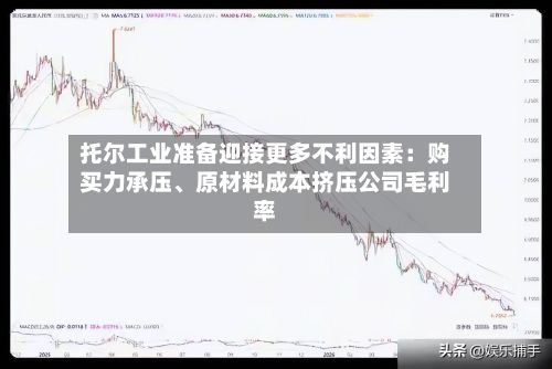 托尔工业准备迎接更多不利因素：购买力承压、原材料成本挤压公司毛利率