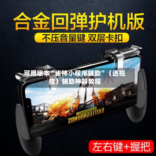 可用版本“雀神小程序辅助”（透视挂）辅助神器教程