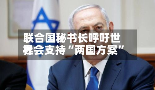 联合国秘书长呼吁世界社会支持“两国方案”