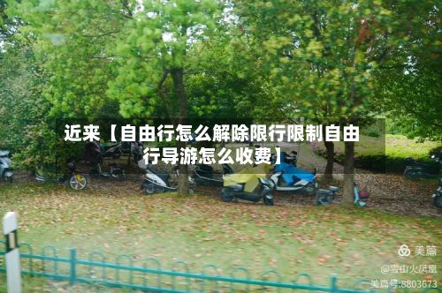 近来【自由行怎么解除限行限制自由行导游怎么收费】
