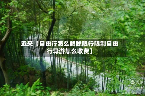 近来【自由行怎么解除限行限制自由行导游怎么收费】-第3张图片