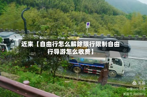 近来【自由行怎么解除限行限制自由行导游怎么收费】-第2张图片