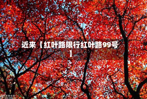 近来【红叶路限行红叶路99号】-第2张图片