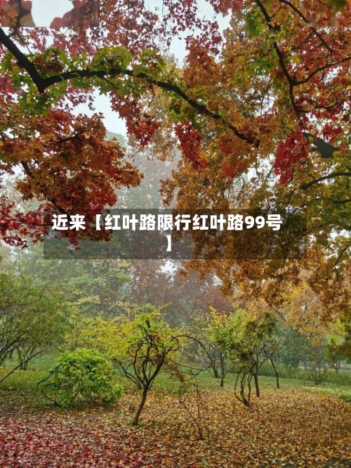 近来【红叶路限行红叶路99号】