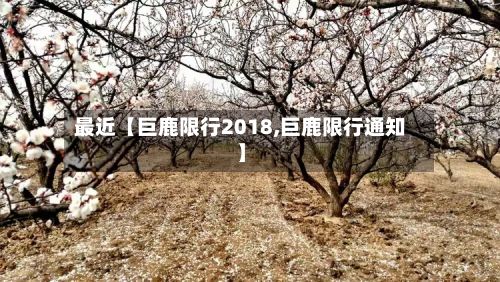 最近【巨鹿限行2018,巨鹿限行通知】