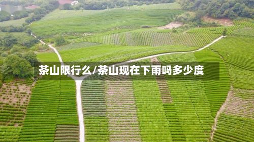茶山限行么/茶山现在下雨吗多少度