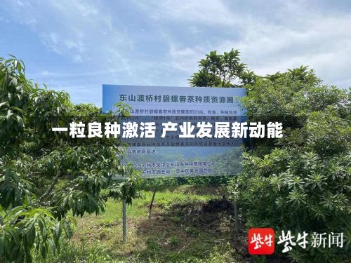 一粒良种激活 产业发展新动能