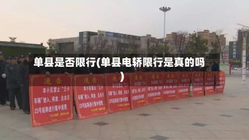 单县是否限行(单县电轿限行是真的吗)-第3张图片