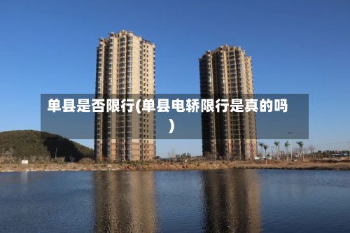 单县是否限行(单县电轿限行是真的吗)-第2张图片