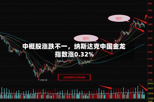 中概股涨跌不一，纳斯达克中国金龙指数涨0.32%