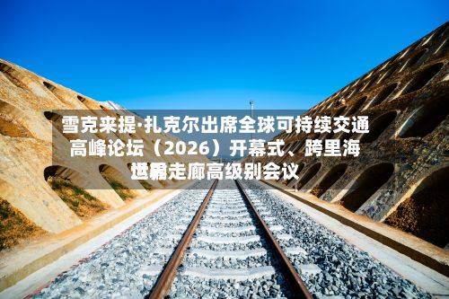 雪克来提·扎克尔出席全球可持续交通高峰论坛（2026）开幕式、跨里海世界运输走廊高级别会议