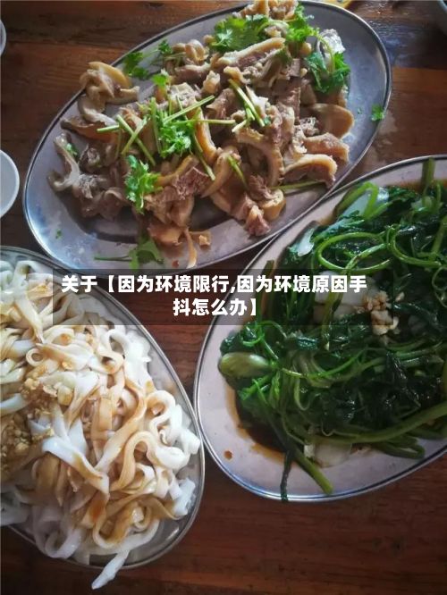 关于【因为环境限行,因为环境原因手抖怎么办】-第2张图片