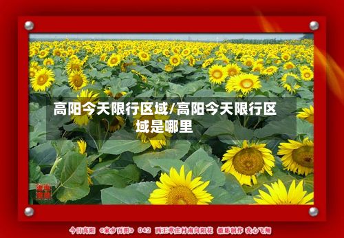 高阳今天限行区域/高阳今天限行区域是哪里-第3张图片