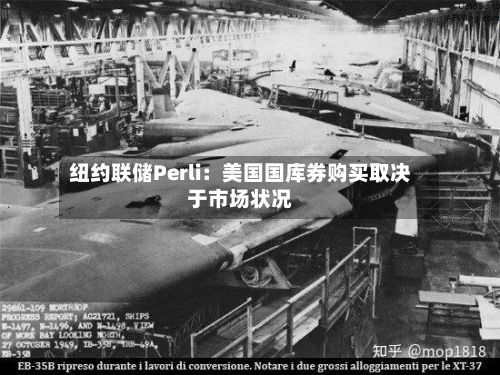 纽约联储Perli：美国国库券购买取决于市场状况