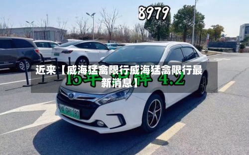 近来【威海猛禽限行威海猛禽限行最新消息】-第3张图片