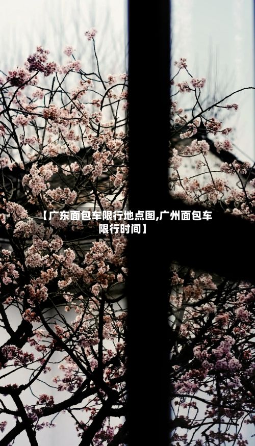 【广东面包车限行地点图,广州面包车限行时间】-第3张图片