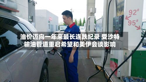 油价迈向一年来最长连跌纪录 受沙特输油管道重启希望和美伊会谈影响-第2张图片