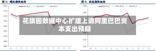 花旗因数据中心扩建上调阿里巴巴资本支出预期