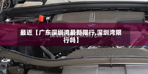 最近【广东深圳湾最新限行,深圳湾限行吗】