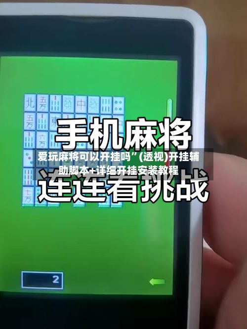 爱玩麻将可以开挂吗”(透视)开挂辅助脚本+详细开挂安装教程-第2张图片