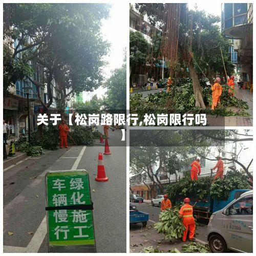关于【松岗路限行,松岗限行吗】-第2张图片