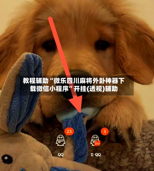 教程辅助“微乐四川麻将外卦神器下载微信小程序”开挂(透视)辅助-第2张图片